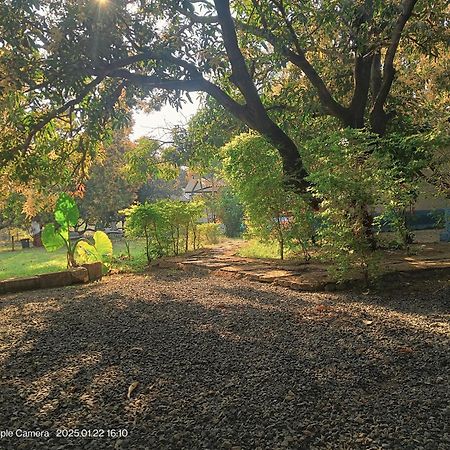 Gir County Resort Гирский лес Экстерьер фото