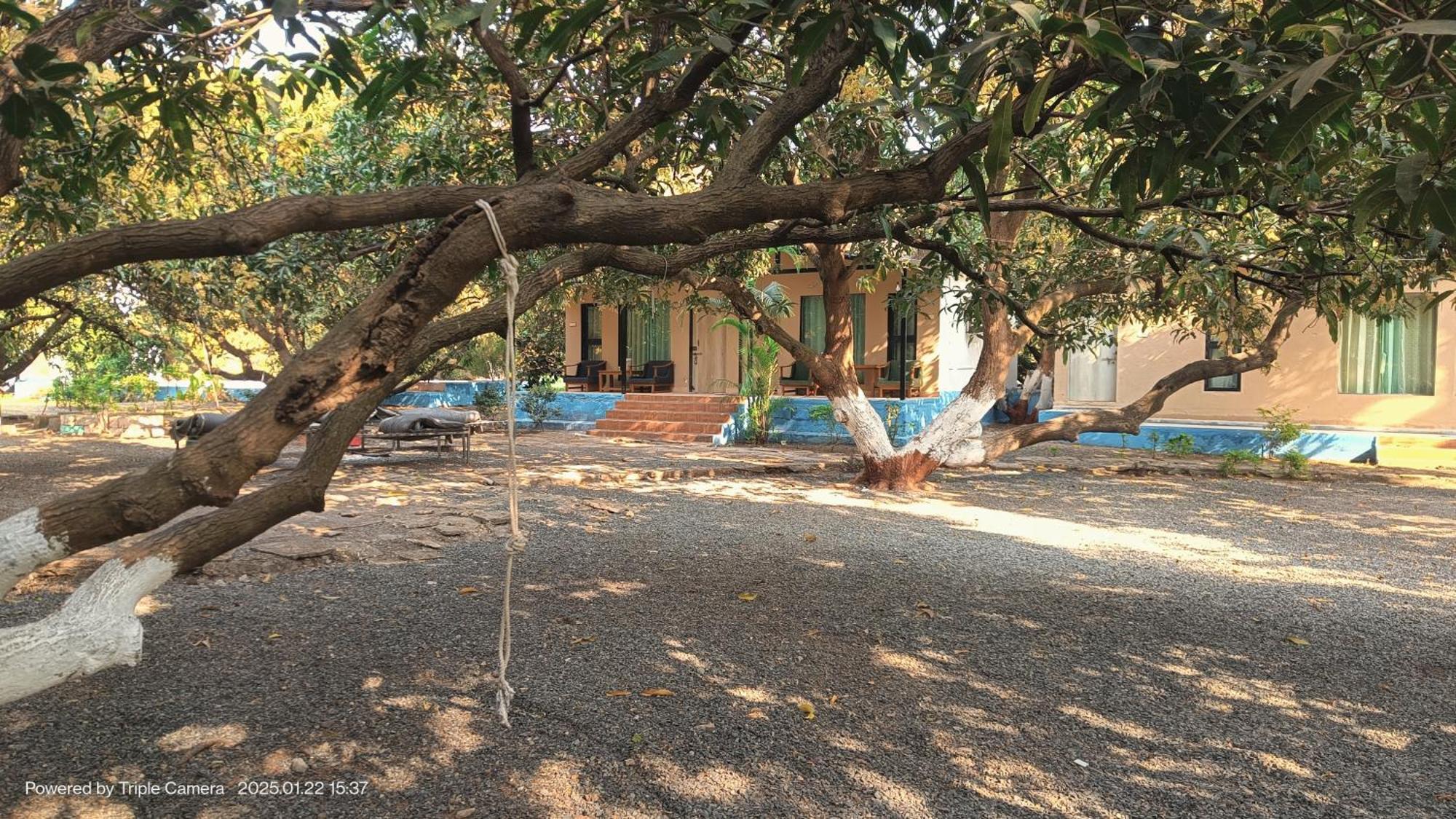 Gir County Resort Гирский лес Экстерьер фото