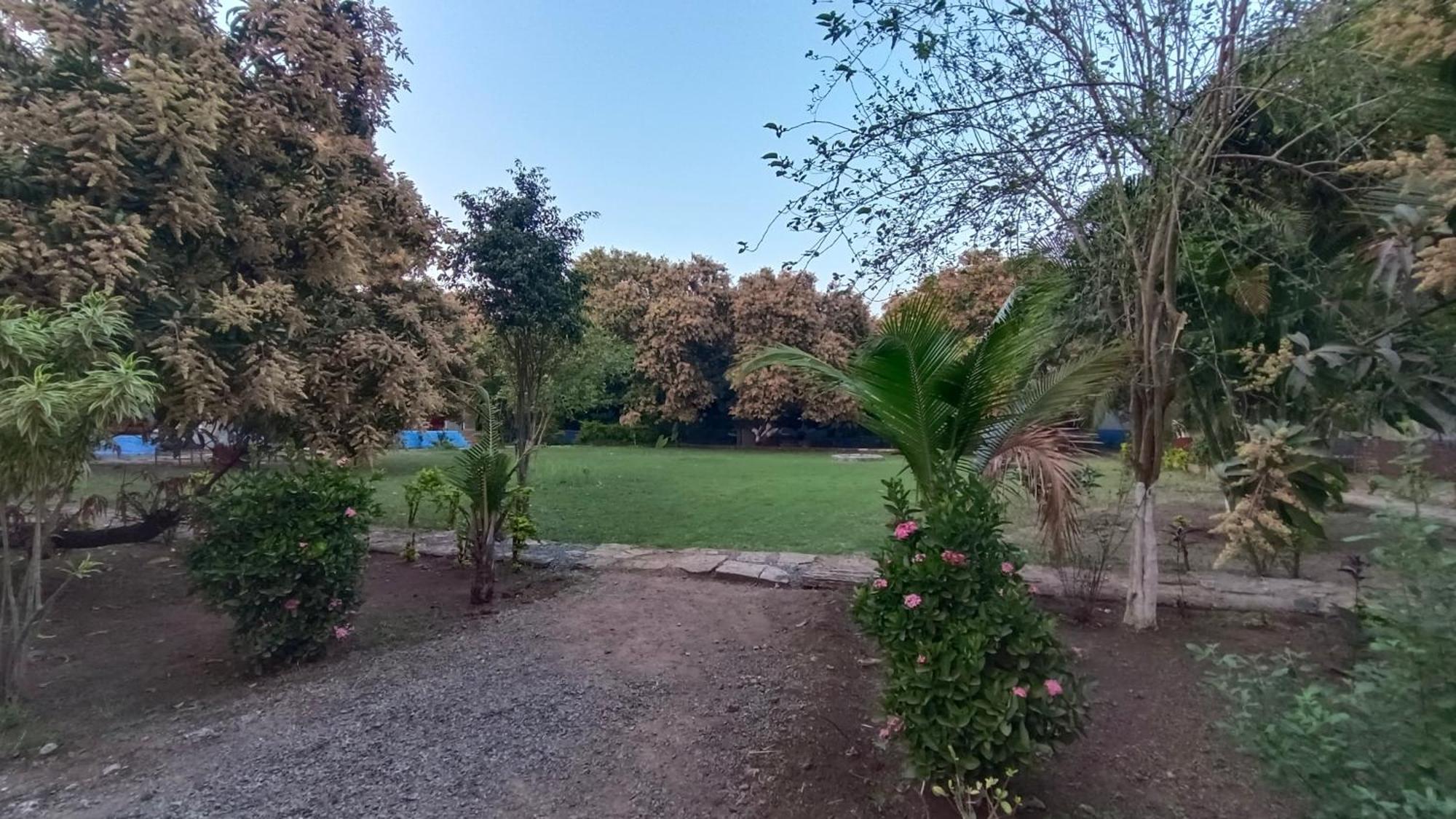 Gir County Resort Гирский лес Экстерьер фото