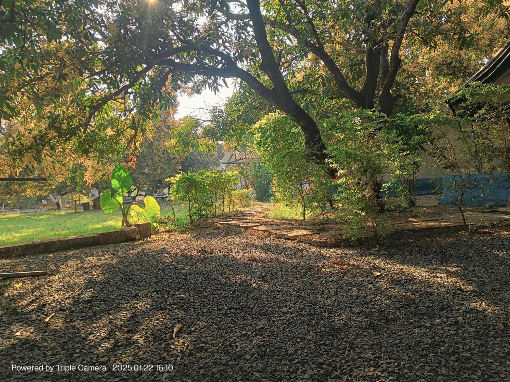 Gir County Resort Гирский лес Экстерьер фото