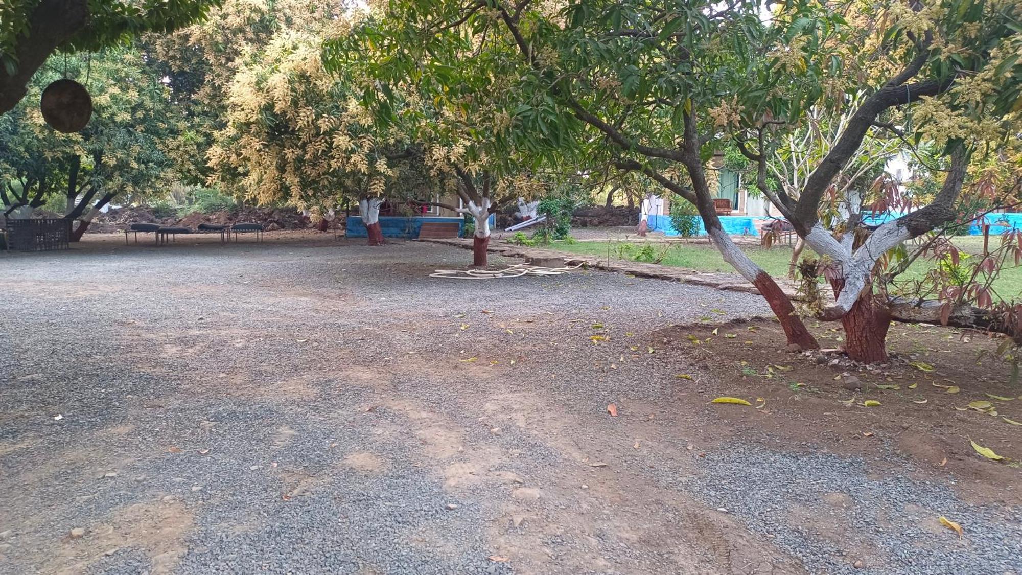 Gir County Resort Гирский лес Экстерьер фото